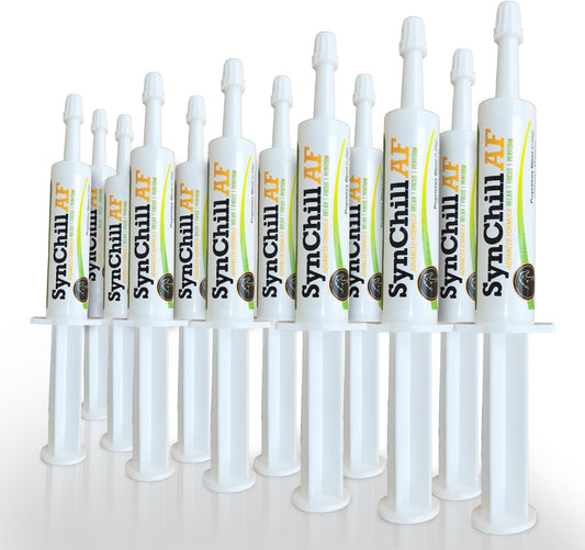 SynNutra Equine SynChill AF Calming Gel for Nervous Horses - Single Serving - 12 Pack of Advanced Formula Supplement with L-Theanine for Disposition & Confidence Support