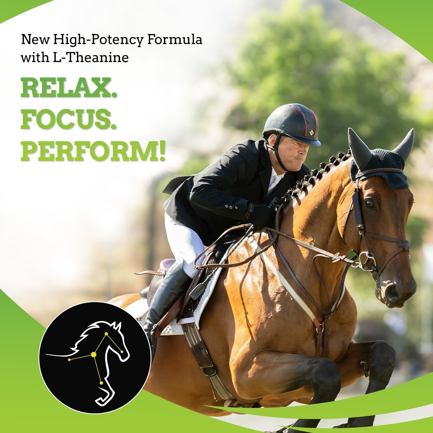 SynNutra Equine SynChill AF Calming Gel for Nervous Horses - Single Serving - 12 Pack of Advanced Formula Supplement with L-Theanine for Disposition & Confidence Support