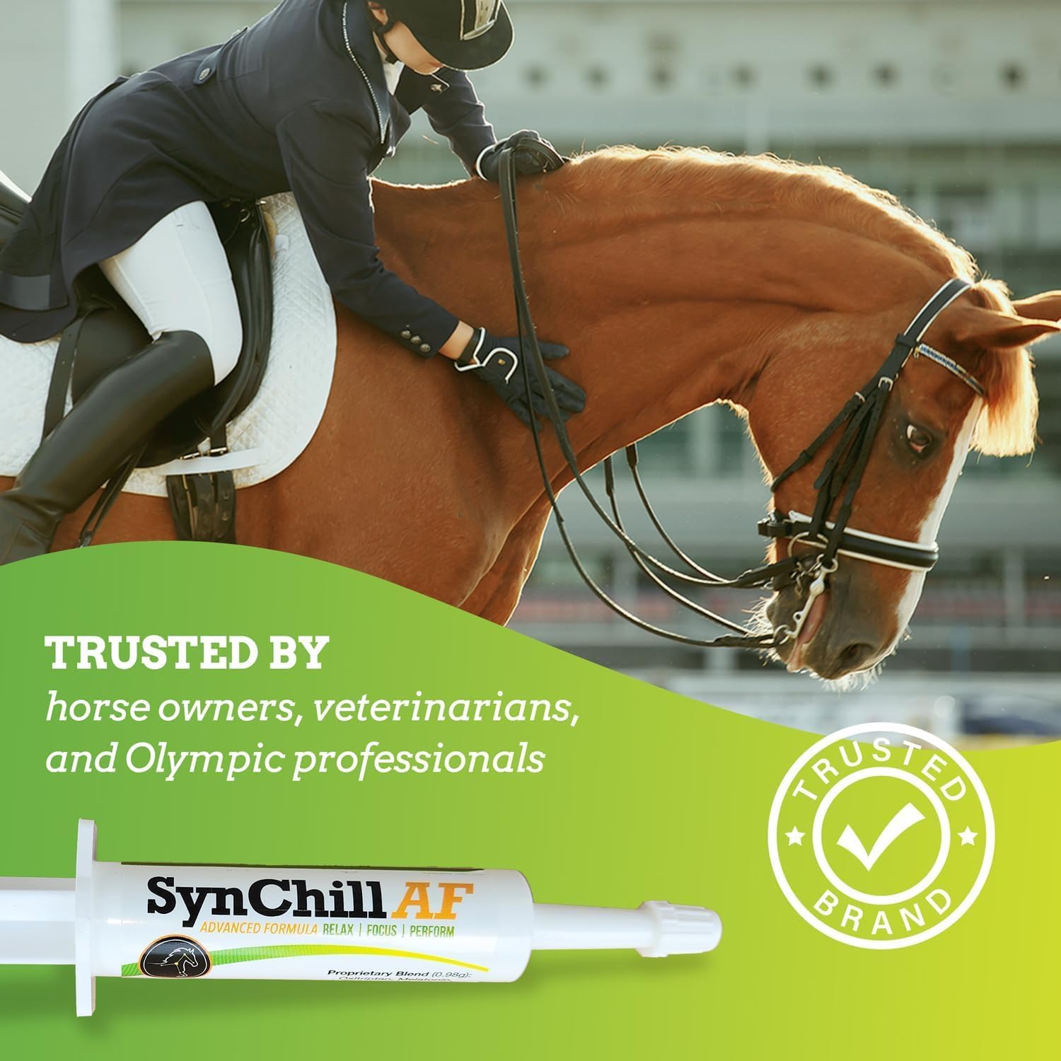 SynNutra Equine SynChill AF Calming Gel for Nervous Horses - Single Serving - 12 Pack of Advanced Formula Supplement with L-Theanine for Disposition & Confidence Support