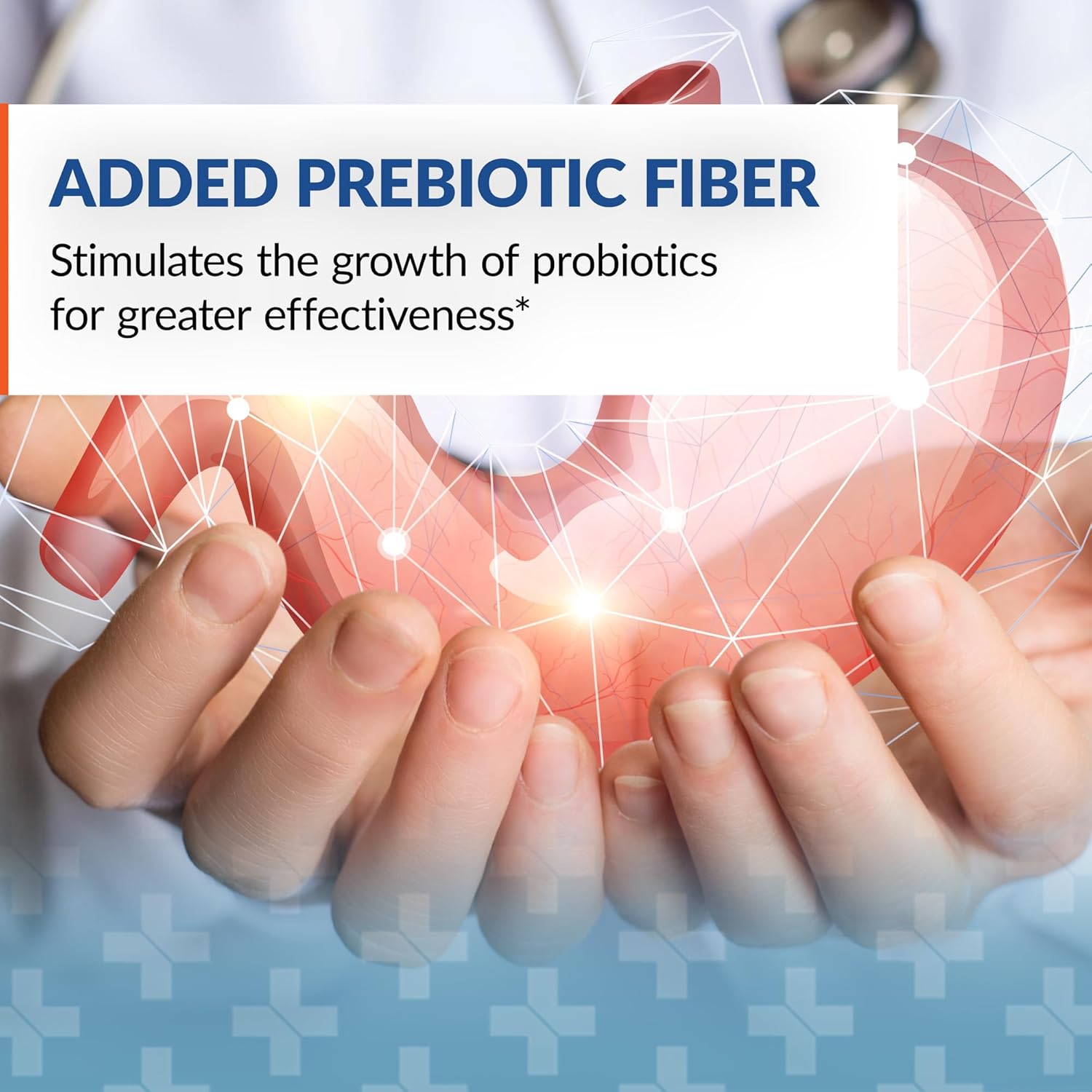 Syntol Probiotic Prebiotic Enzyme Formula for Yeast Cleansing, 180 Capsules