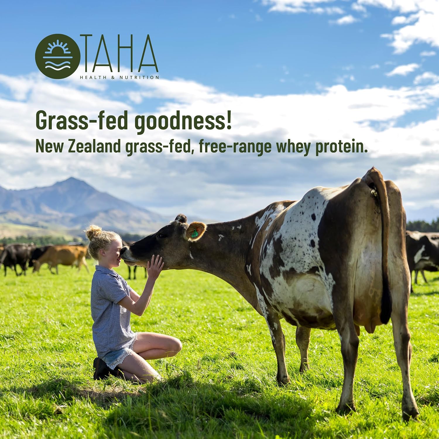 Taha Health & Nutrition Madagascar Vanilla Protein Blend - 25g Protein per Serve, Whey & Collagen, Milk Phospholipids - New Zealand Grass-Fed 2LB