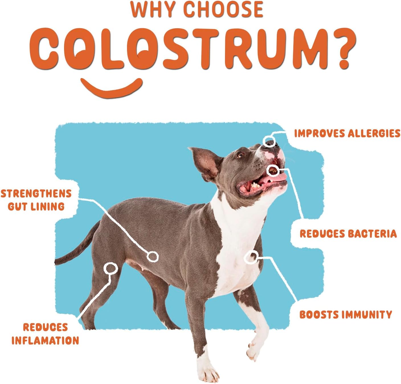 Tailworthy Bovine Colostrum for Pets - Allergy & Immune Support, 60 Servings, Non-GMO & Gluten Free for Energy, Wellness & Digestion