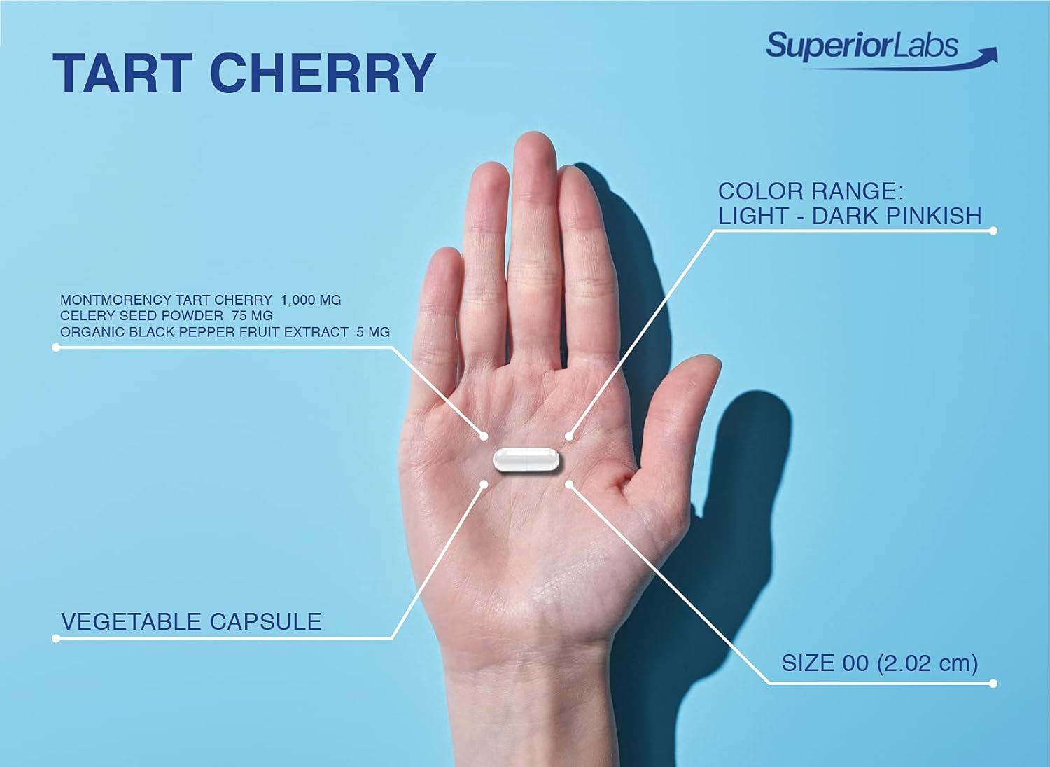 Tart Cherry Extract Capsules with Celery Seed & Black Pepper - Supports Healthy Uric Acid Levels - 1000mg, 60 Veg Caps - Superior Labs