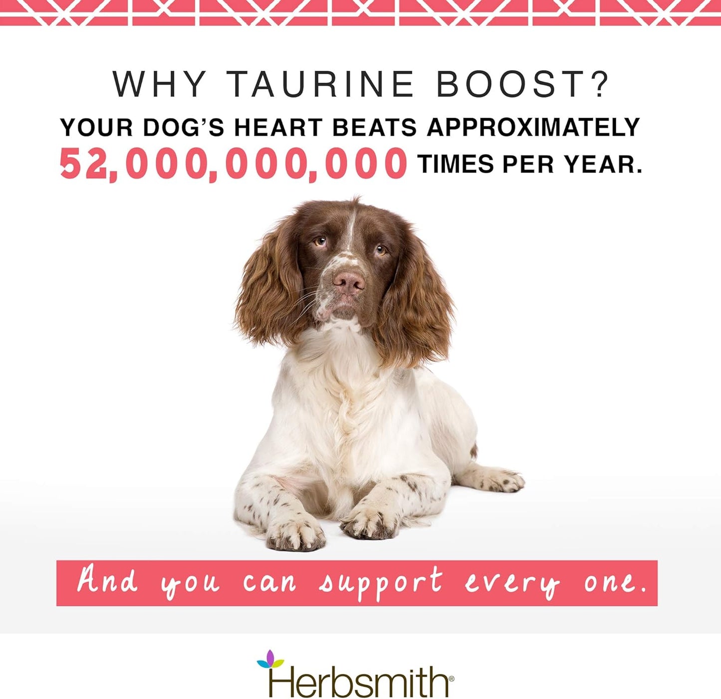 Taurine Boost Supplement for Dogs and Cats - Supports Cardiac Health with CoQ10, L-Carnitine - 75g