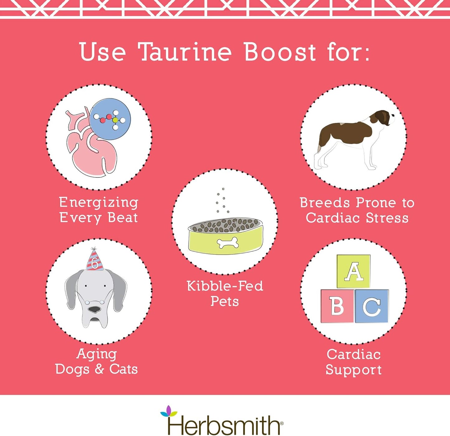 Taurine Boost Supplement for Dogs and Cats - Supports Cardiac Health with CoQ10, L-Carnitine - 75g