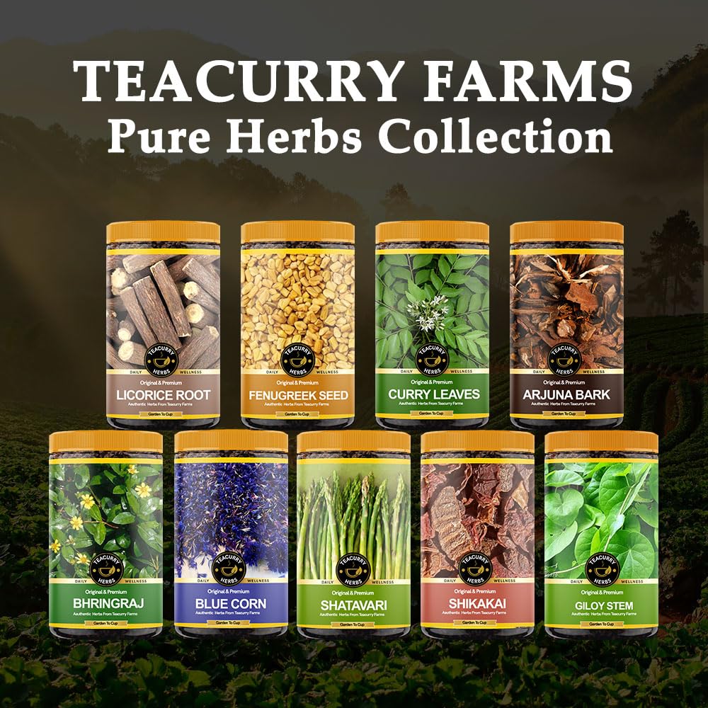 TEACURRY Chota Gokhru (125g) - Boost Energy, Support Kidney Wellness, Promote Overall Well-Being - Gokshura Supplement
