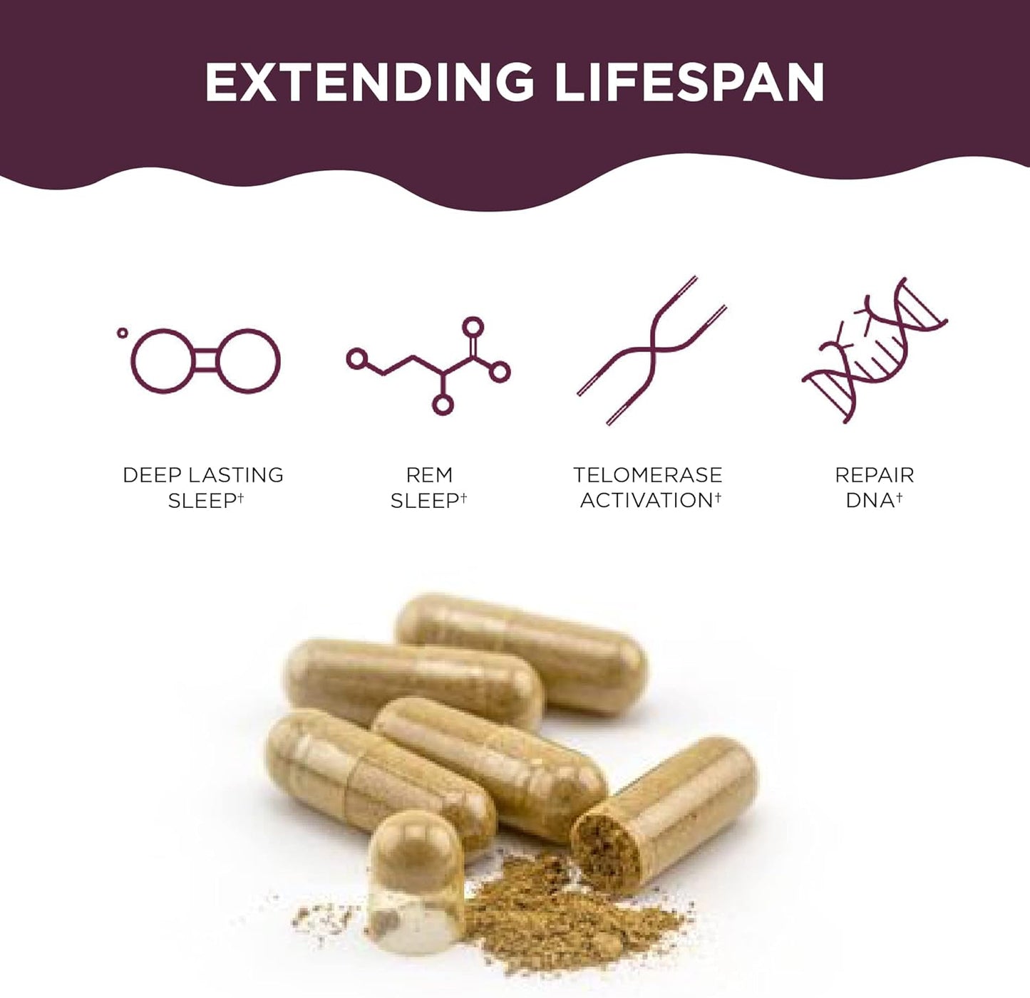 Telomere Lengthening Supplement with AC11® for Anti-Aging & Cell Health