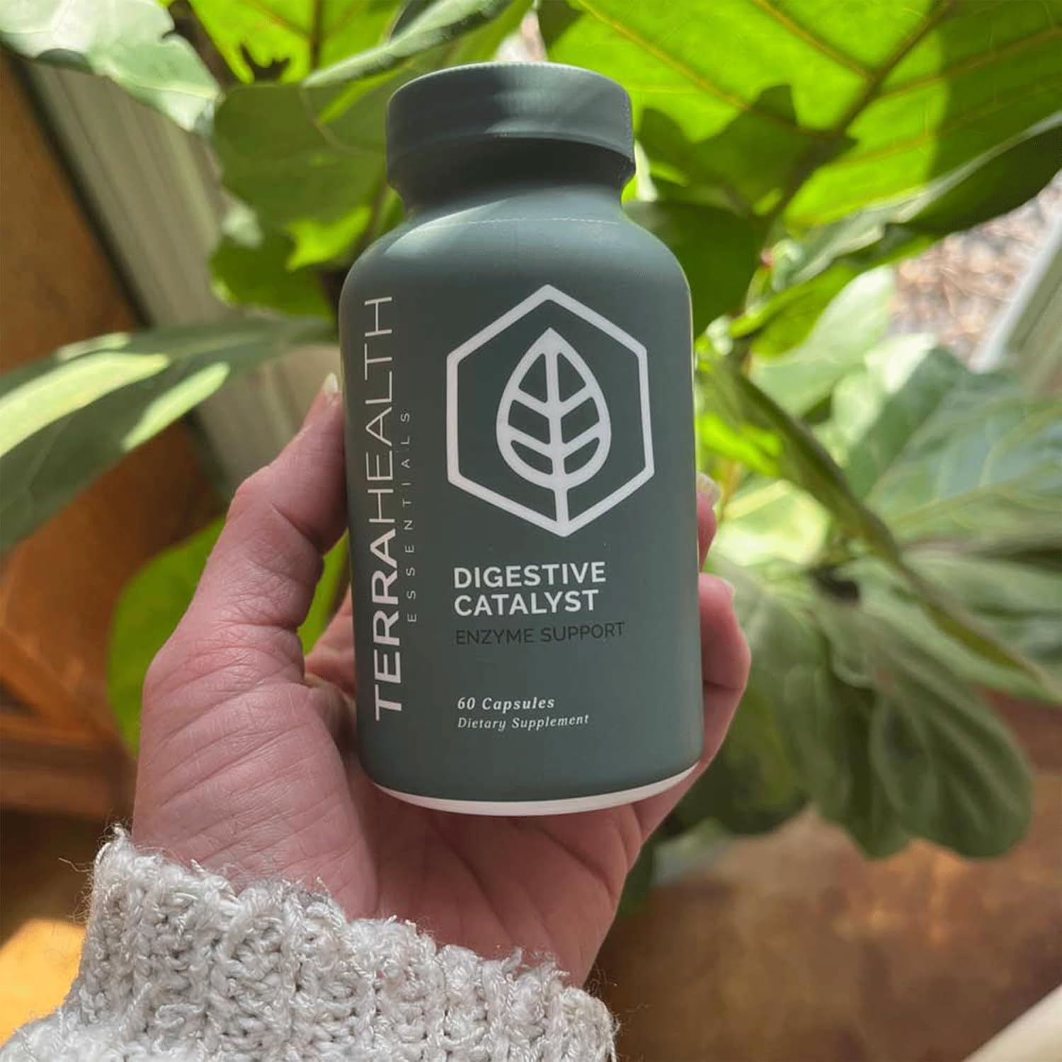 Terra Health Essentials Digestive Catalyst | Support for IBS Symptoms | Enzyme Blend (1 Bottle, 60 Capsules)