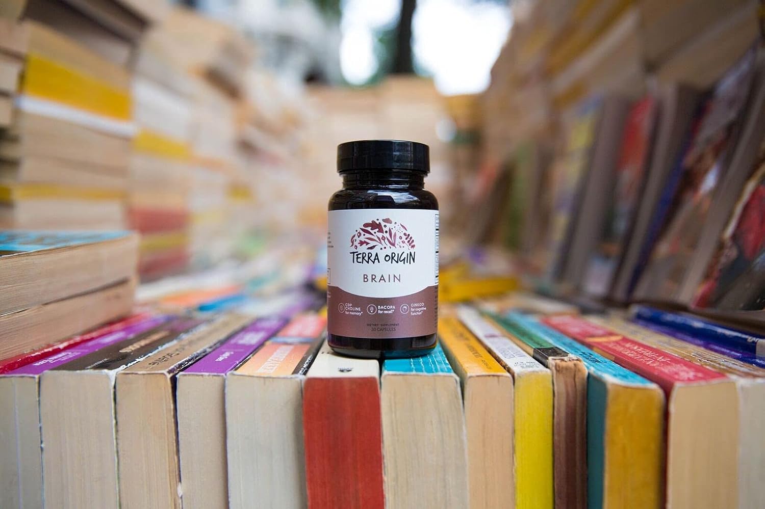 Terra Origin Brain Health Supplement Capsules - 30 Servings with CDP Choline, Ginkgo Biloba, Bacopa - Improves Memory, Recall, Function