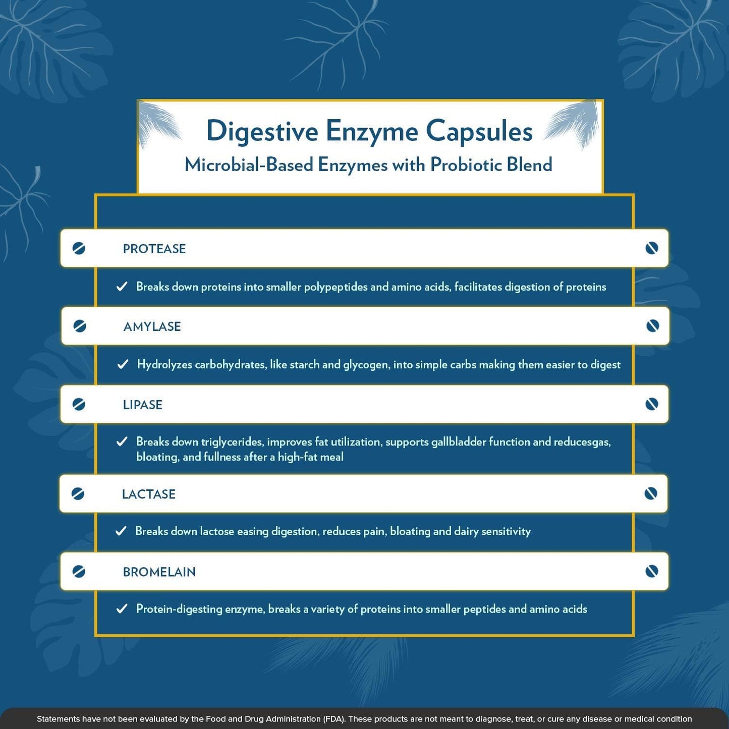 TERRA ORIGIN Digestive Enzymes and Probiotics for Healthy Digestion - Bromelain, Lactase, Amylase, Lipase - 60 Servings, Gluten-Free, USA Made