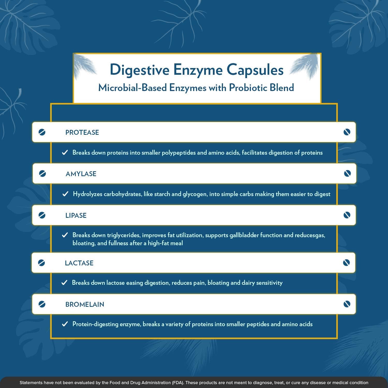 TERRA ORIGIN Digestive Enzymes and Probiotics for Healthy Digestion - Bromelain, Lactase, Amylase, Lipase - 60 Servings, Gluten-Free, USA Made