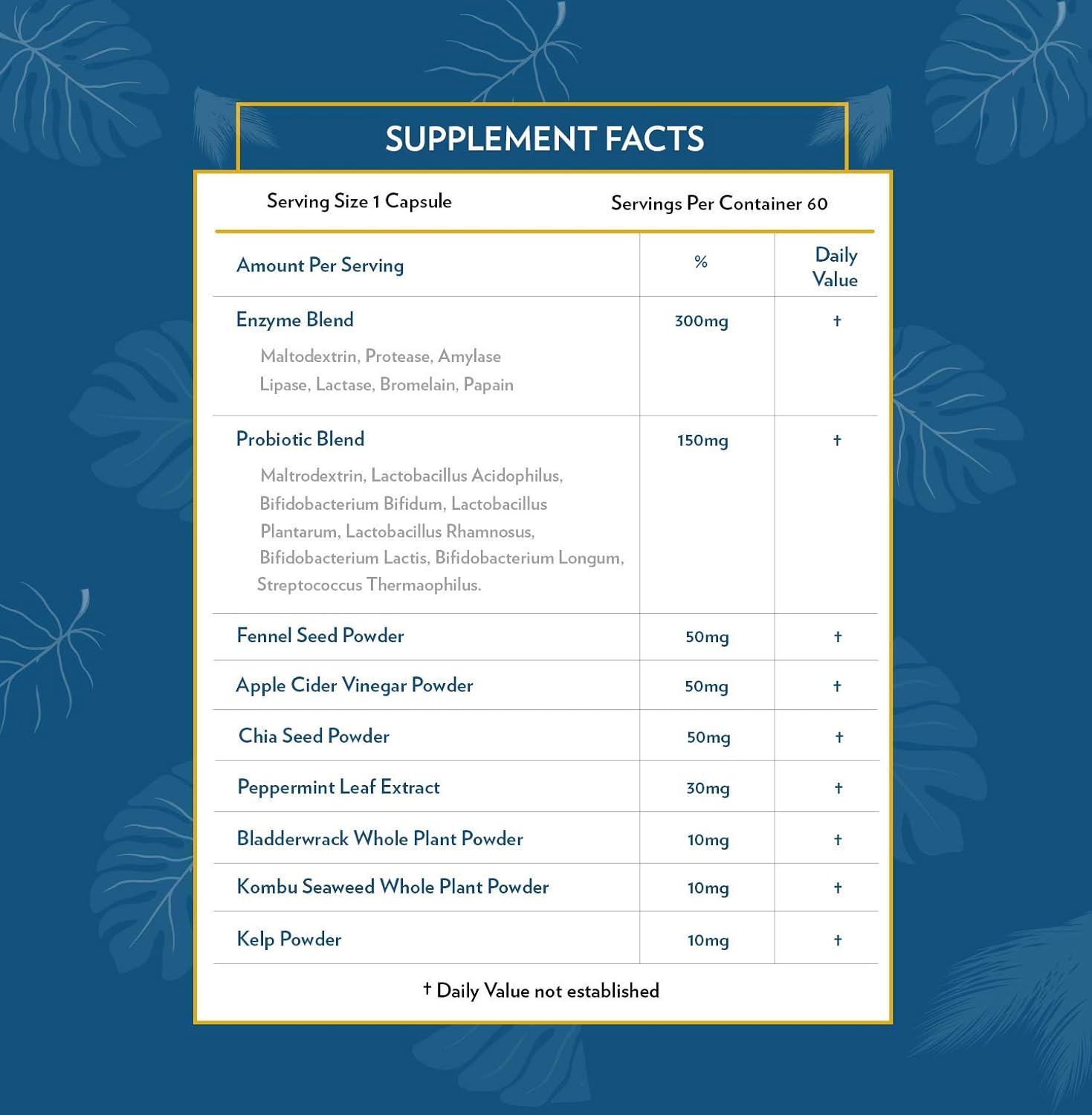 TERRA ORIGIN Digestive Enzymes and Probiotics for Healthy Digestion - Bromelain, Lactase, Amylase, Lipase - 60 Servings, Gluten-Free, USA Made
