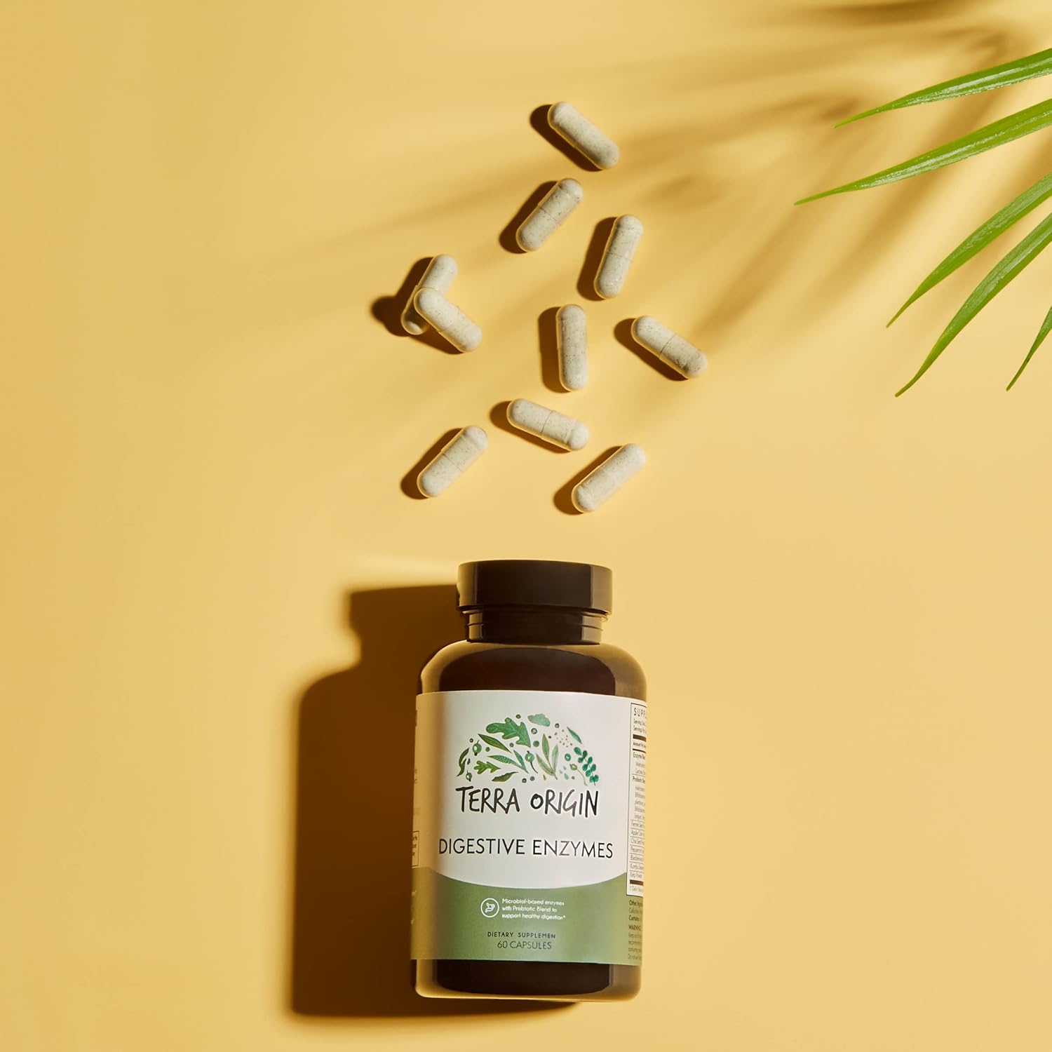 TERRA ORIGIN Digestive Enzymes and Probiotics for Healthy Digestion - Bromelain, Lactase, Amylase, Lipase - 60 Servings, Gluten-Free, USA Made