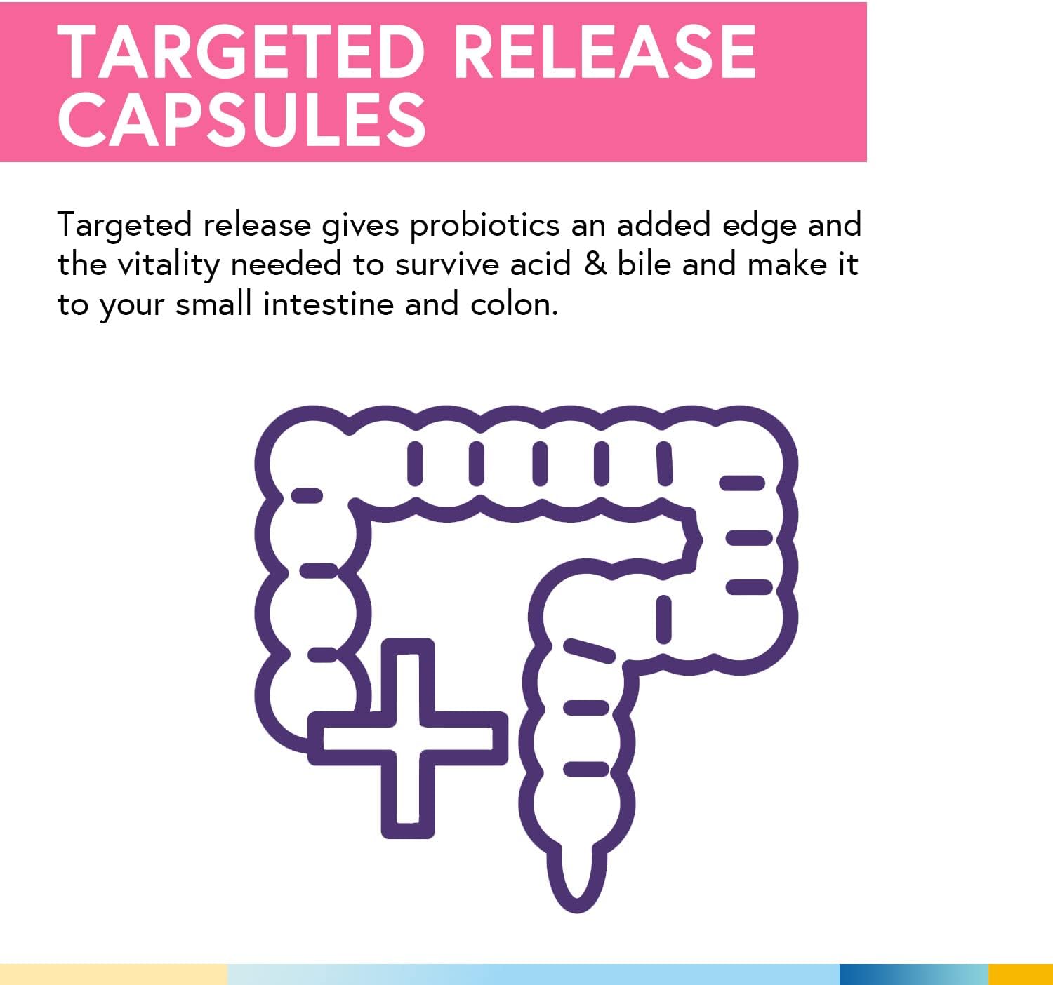 Terranics Women's Daily Probiotics - 200 Billion CFU, 32 Strains, Cranberry & Prebiotics - Balance Vaginal Flora & pH - Delayed Release, Shelf Stable - 60 Vegan Capsules