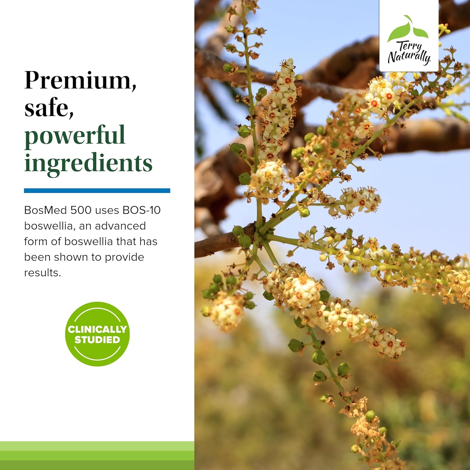Terry Naturally BosMed 500 Extra Strength - 240 Softgels - Advanced Boswellia Supplement for Healthy Inflammation Response - Non-GMO, Halal, Gluten Free
