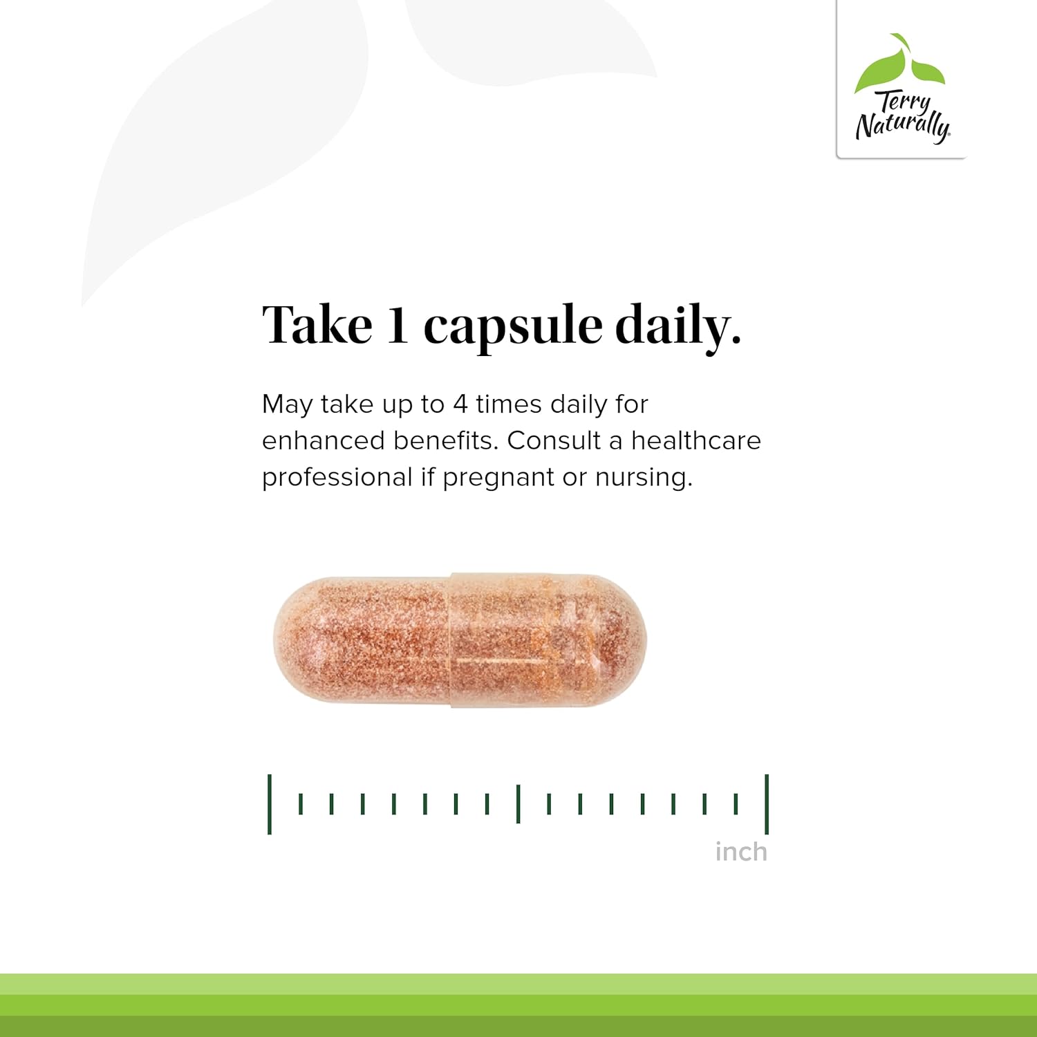 Terry Naturally Clinical OPC 150 mg French Grape Seed Extract Capsules - Antioxidant Supplement - Non-GMO, Gluten Free - 60 Servings