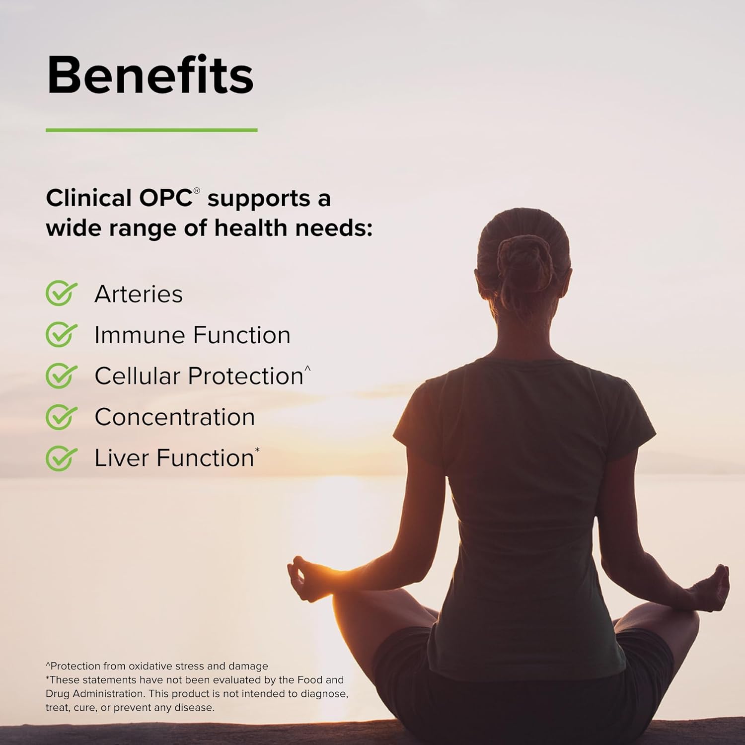 Terry Naturally Clinical OPC Softgels - Cardiovascular & Focus Support Supplement with Grape Seed Extract & Sunflower Lecithin - Immune Boost - 150mg, 120 Softgels