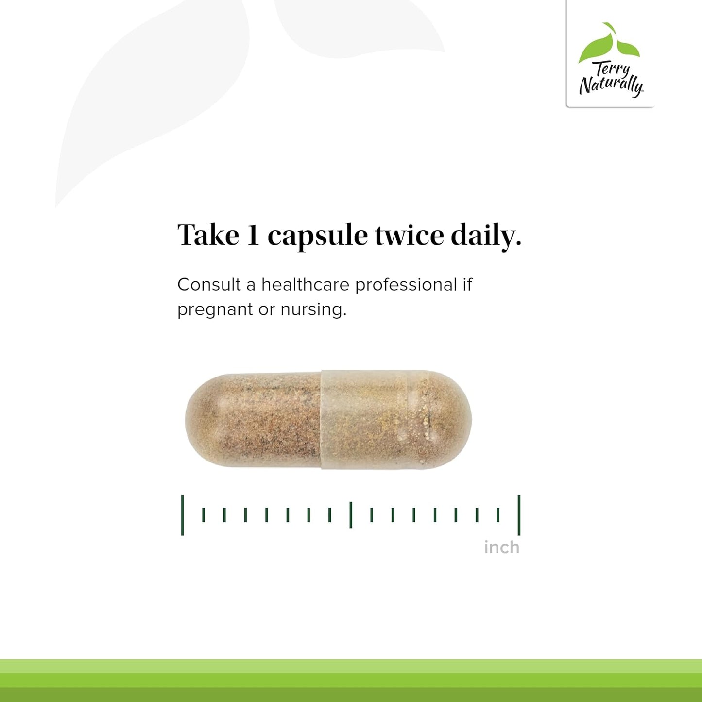 Terry Naturally Liver Support Capsules - 60 Count - Milk Thistle, Andrographis, Grape Seed Extract - Non-GMO, Vegan - 60 Servings