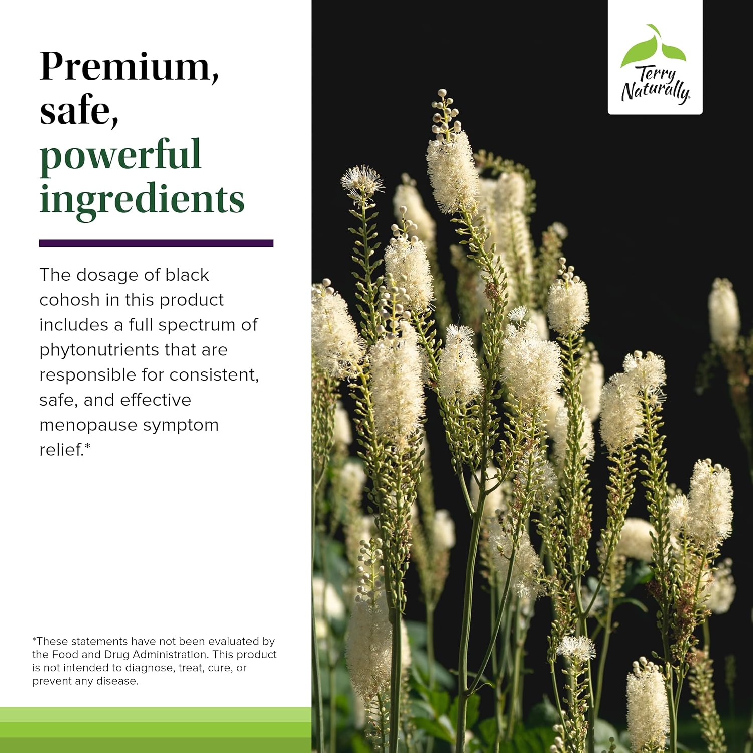 Terry Naturally Menopause Relief Plus Capsules - Clinical-Strength Formula with Rhodiola & Black Cohosh - Non-GMO, Vegan, Gluten Free - 30 Servings