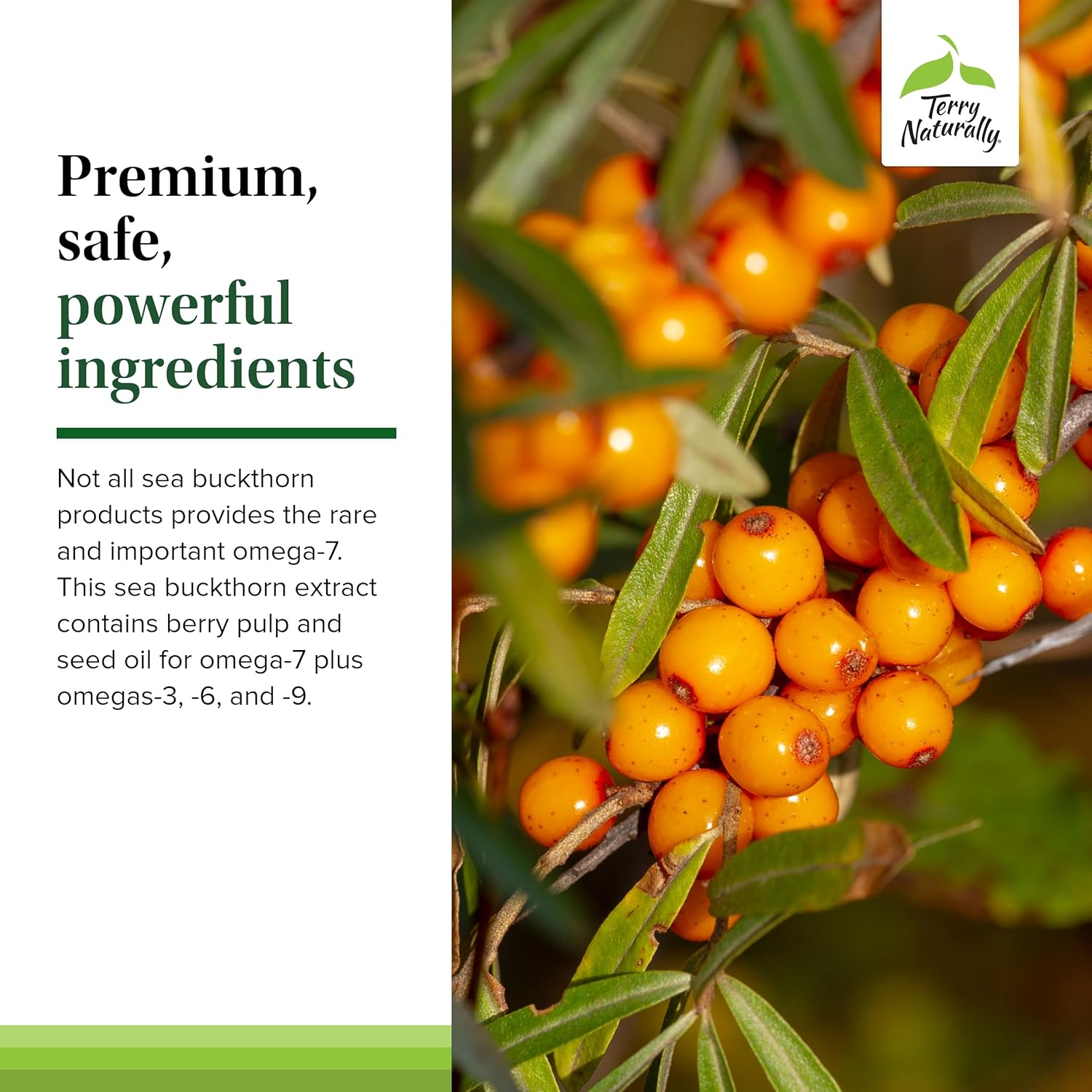 Terry Naturally Omega-7 Dry Eye Relief Softgels - Eye Health Supplement with Buckthorn Seed Oil - Pack of 120 Softgels for Dry Eye Relief