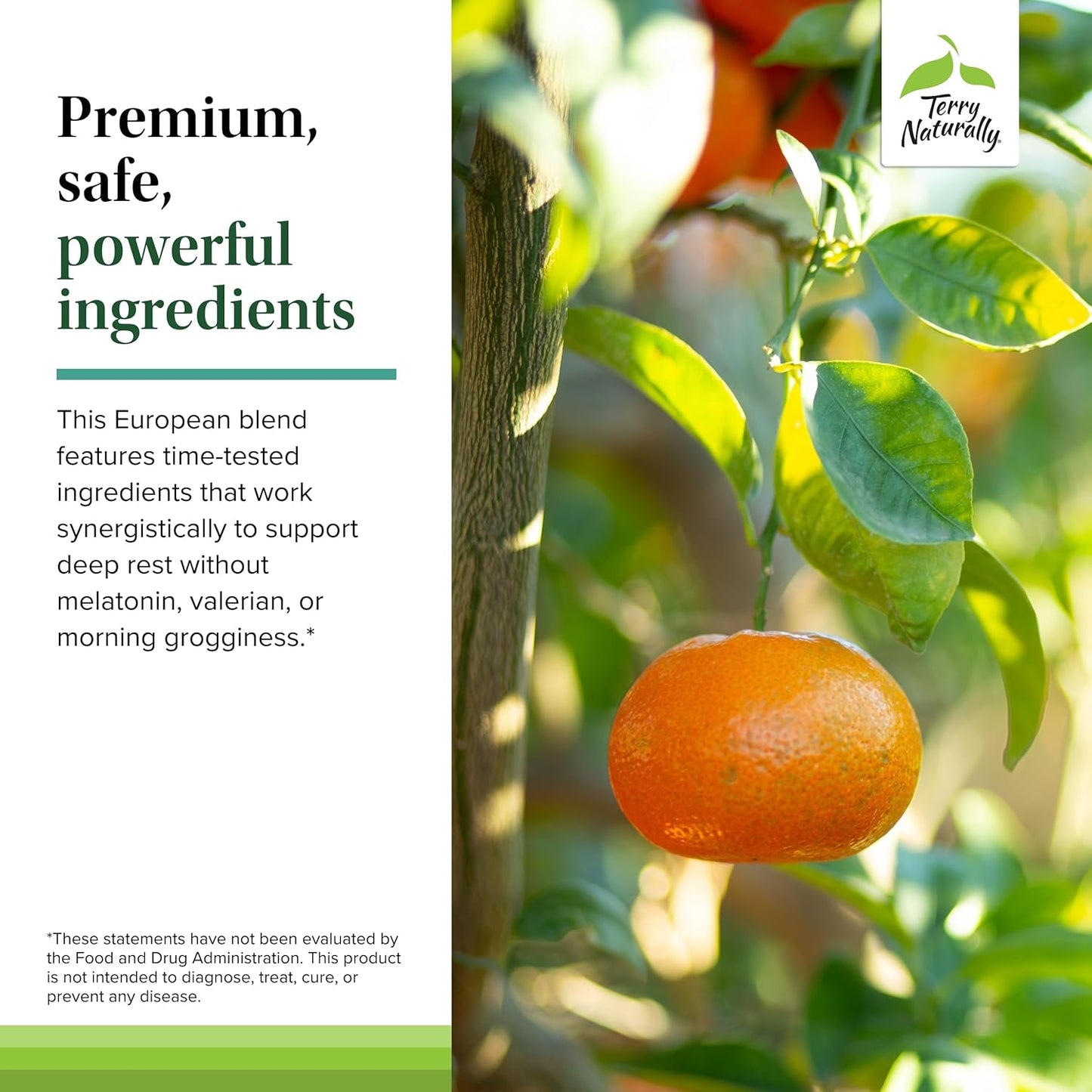 Terry Naturally Terrific Zzzz Sleep Supplement Softgels - Natural Non-GMO Relaxation Aid with Mandarin, Lemon Balm, Lavender - Pack of 60