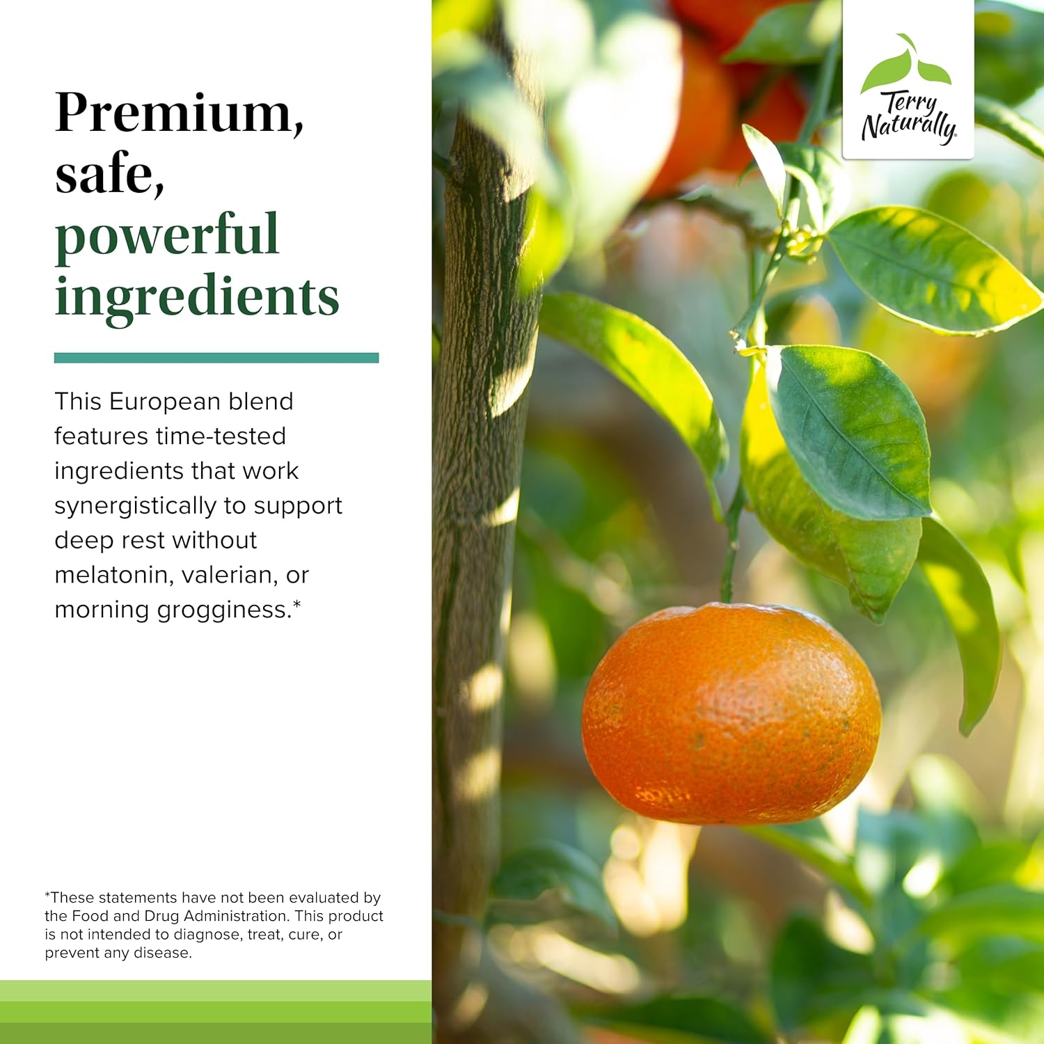 Terry Naturally Terrific Zzzz Sleep Supplement Softgels - Natural Non-GMO Relaxation Aid with Mandarin, Lemon Balm, Lavender - Pack of 60