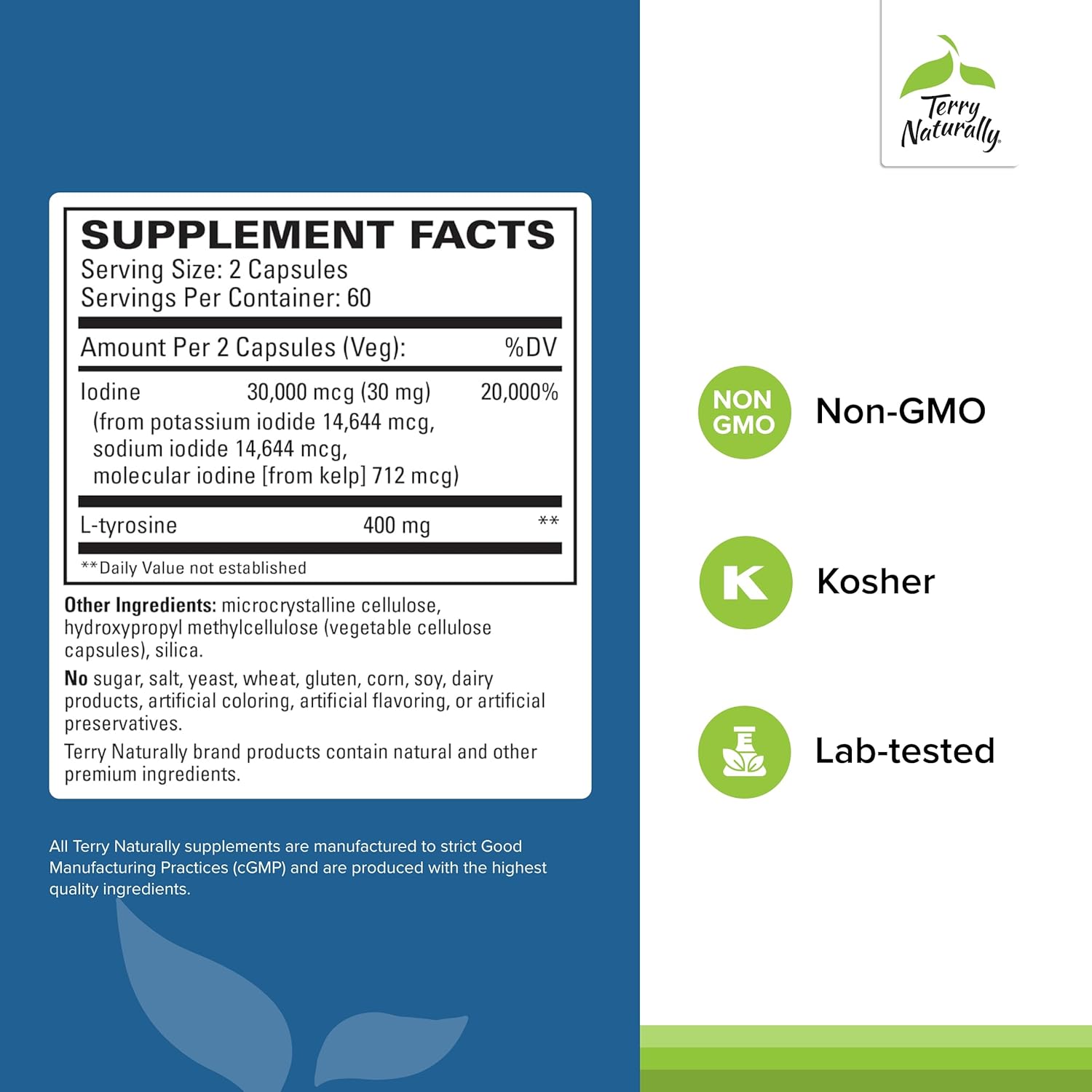 Terry Naturally Thyroid Care: Immune & Energy Support - Iodine Supplement for Thyroid Health - L-Tyrosine Wellness - 240 Capsules