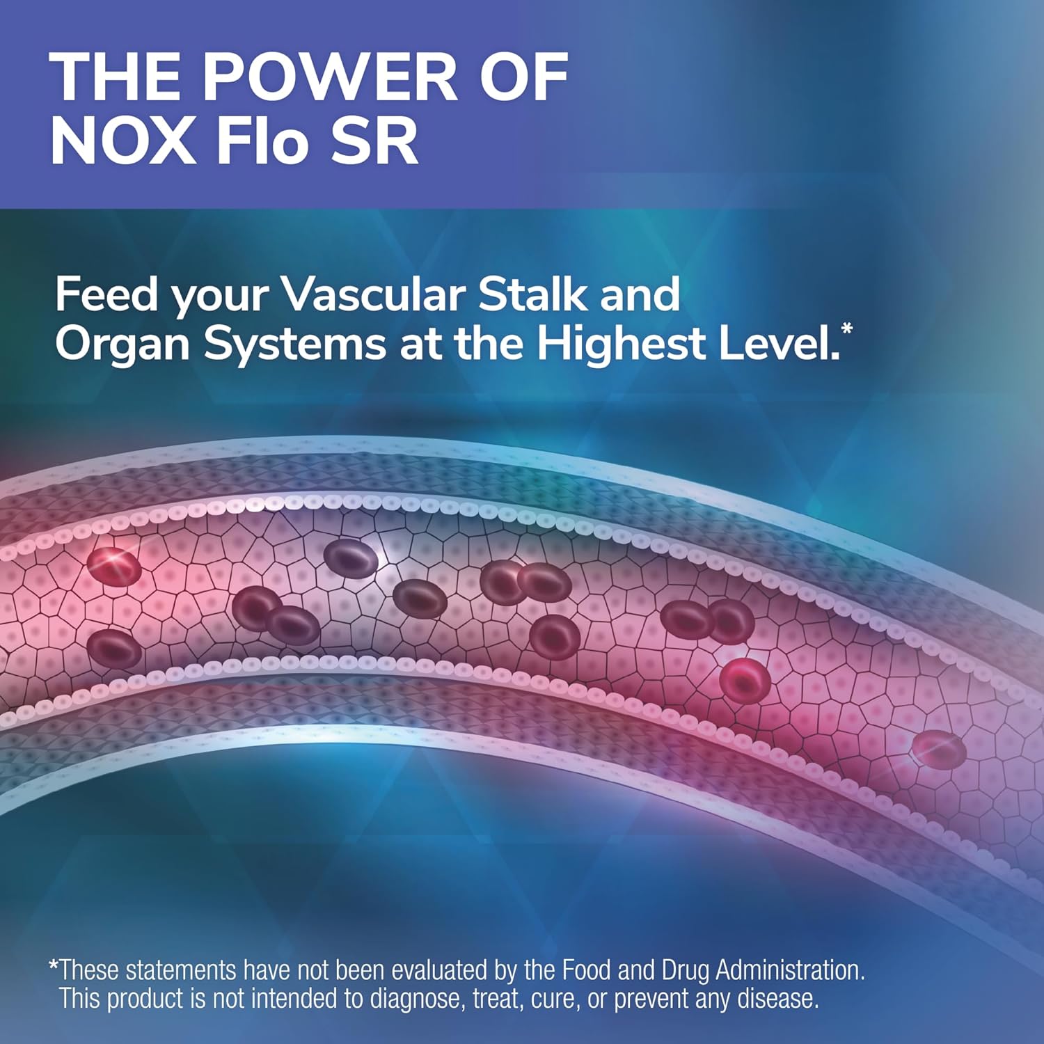 Tesseract NOX Flo SR Nitric Oxide Booster Supplement - 120 Capsules, Supports Vascular Health, Circulation, and Blood Pressure, Hypoallergenic Formula with L Citrulline, Coenzyme Q10, and R Lipoic Acid