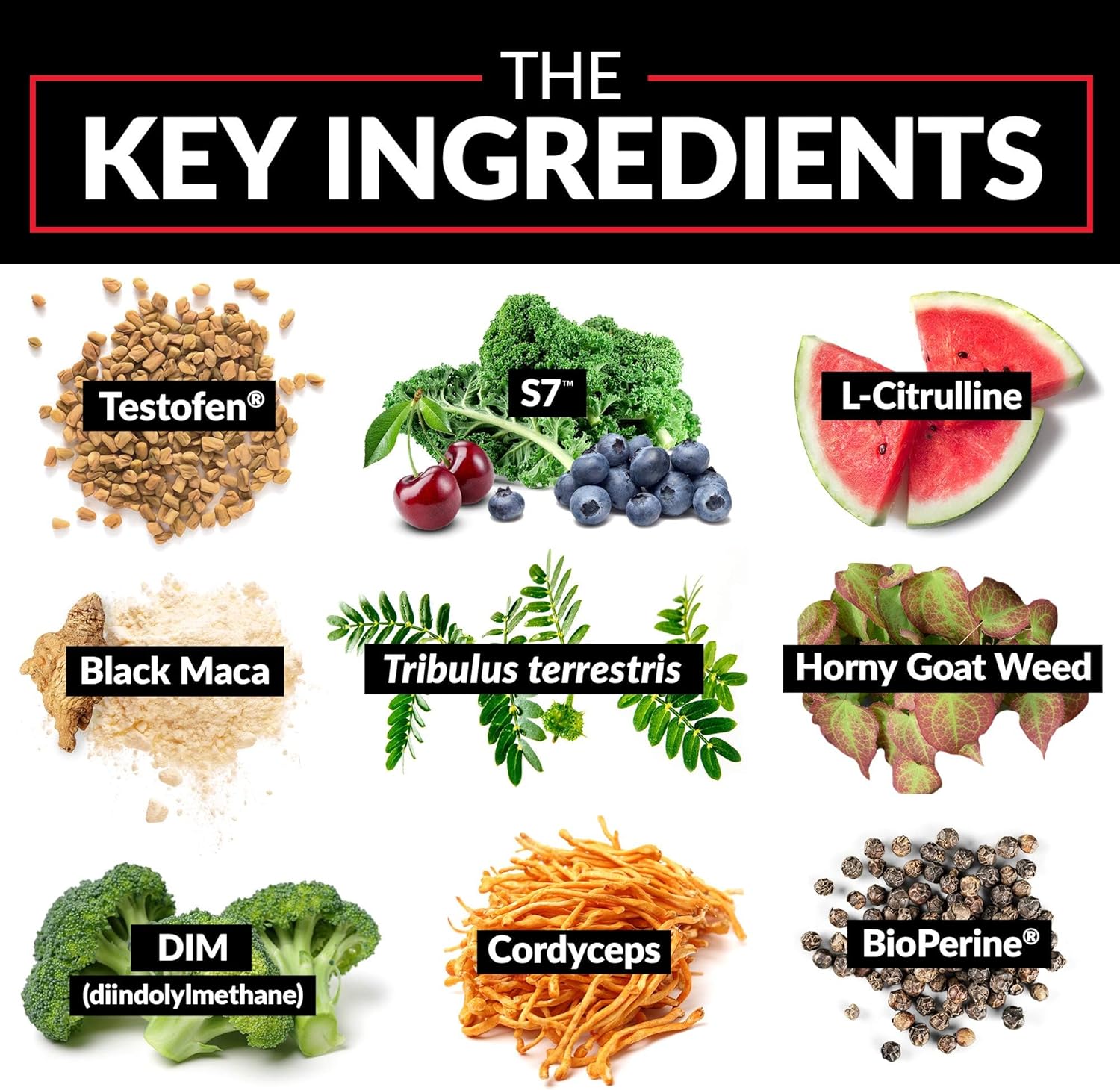 Test X180 Alpha Max Total Testosterone and Nitric Oxide Booster for Men - 180 Capsules, Fenugreek Seed and Tribulus for Improved Athletic Performance and Blood Flow