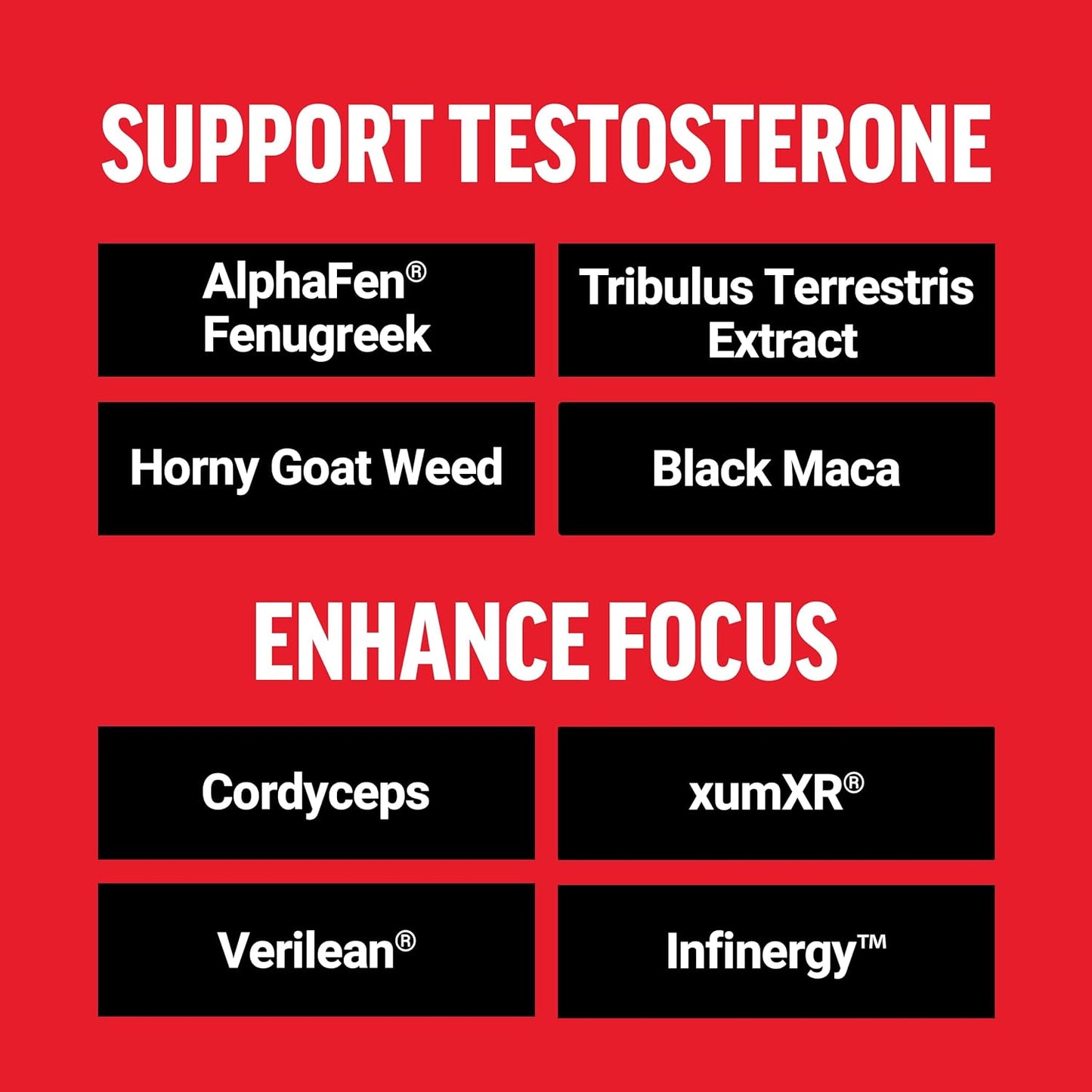 Test X180 Surge: Men's Testosterone Support Supplement for Vitality, Muscle & Strength, Weight Support, Energy Boost - 60 Capsules