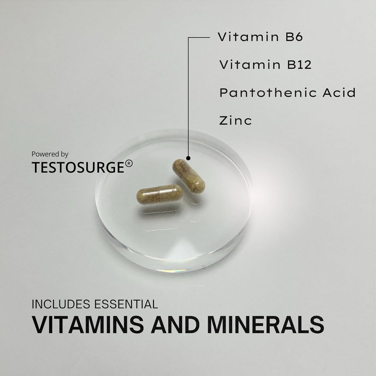 Testosurge Strength & Stamina Enhancer - Vegan & Gluten-Free with Fenugreek Seed Extract, Vitamin B6, B12, Zinc, Rhodiola - 60 Servings