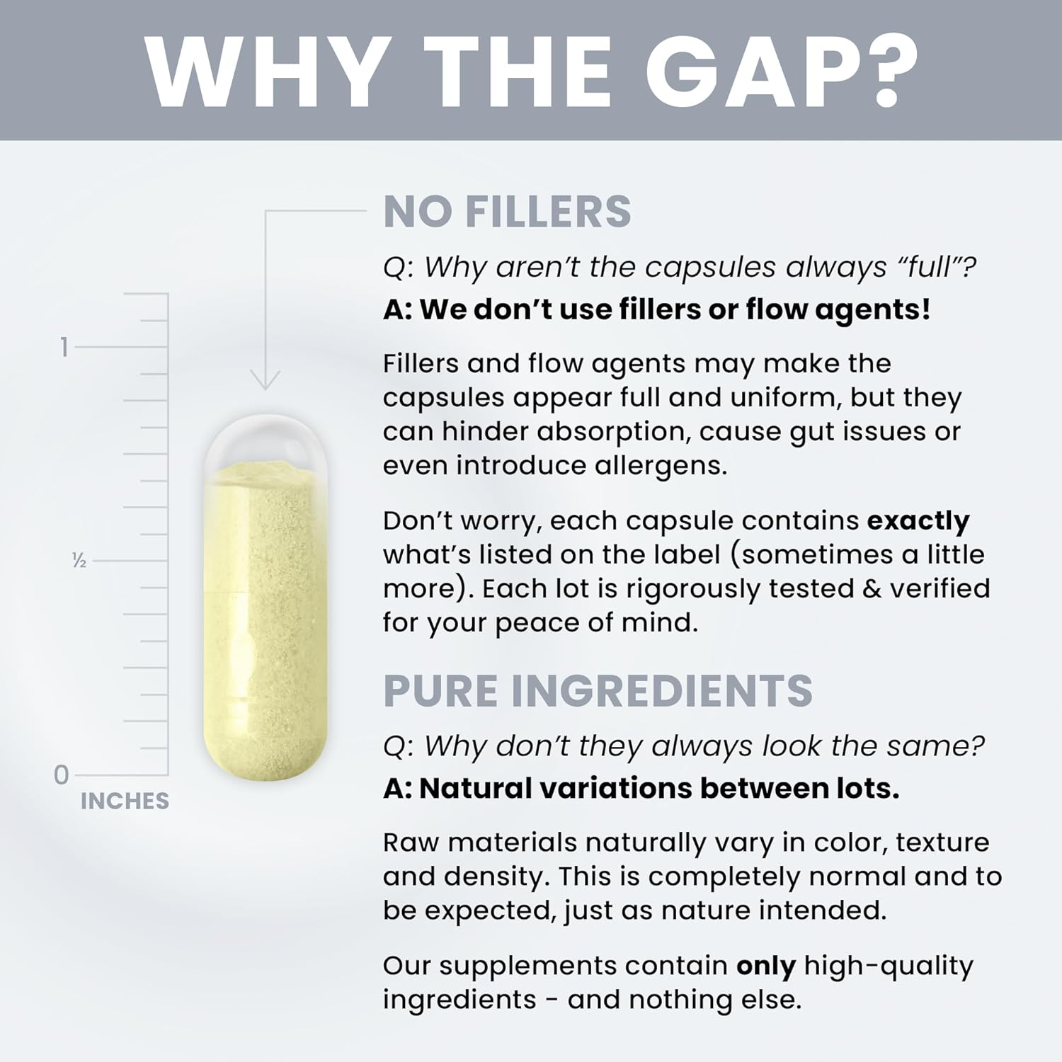 Therapro Rx Zinc Defense Capsules | 60 Servings | L-OptiZinc & Quercefit | Chelated Minerals for Immune, Gut, Hormonal Balance