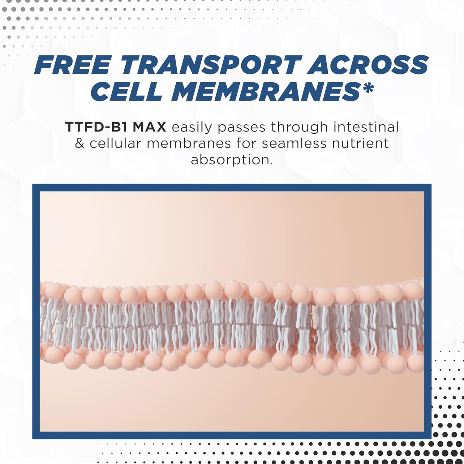 Thiamine Vitamin B1 TTFD 100mg Capsules - Thiamine Tetrahydrofurfuryl Disulfide Supplement by MaxLife Naturals