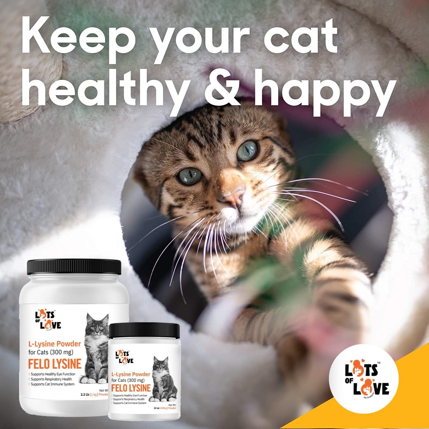 Thomas Pet Earlier Lots of Love Pet Products Felo Lysine - L-Lysine Powder for Cats 300 mg, 12 oz