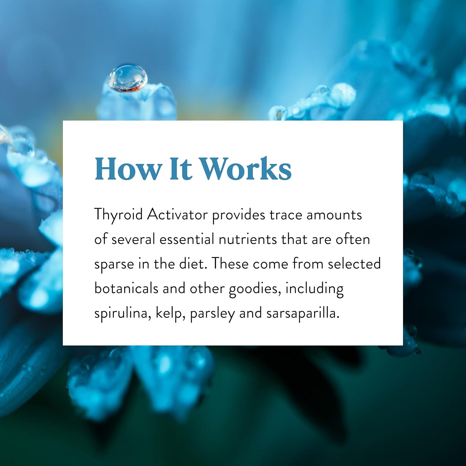 Thyroid Activator Supplement - Natural Support for Thyroid Health - 100 Capsules