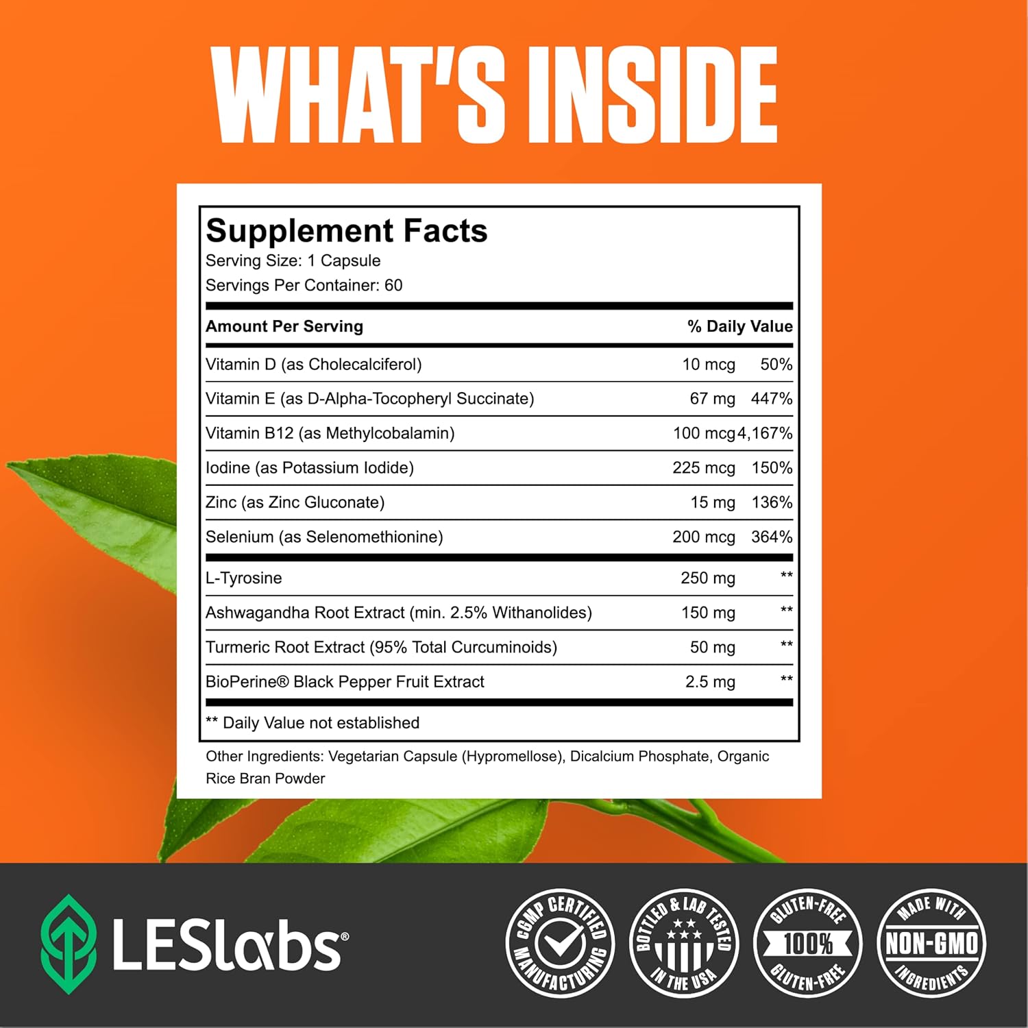 Thyroid Support Supplement for Metabolic Health, Energy, Focus - Iodine, L-Tyrosine, Ashwagandha, Selenium, Turmeric - Non-GMO - 60 Caps