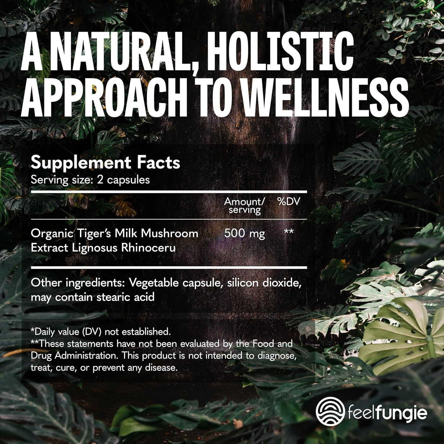 Tiger Milk Mushroom Supplement for Hair Growth, Immune Support, Gut Health, Cognitive Focus, and Skin Clarity