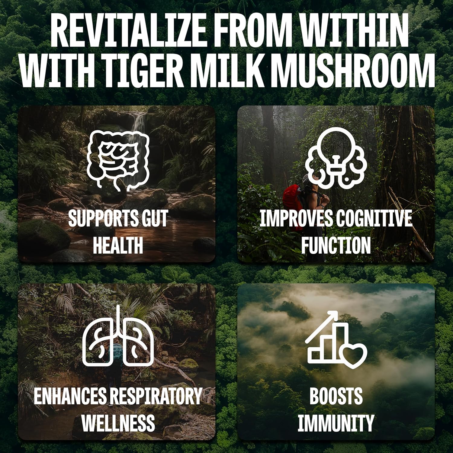 Tiger Milk Mushroom Supplement for Hair Growth, Immune Support, Gut Health, Cognitive Focus, and Skin Clarity