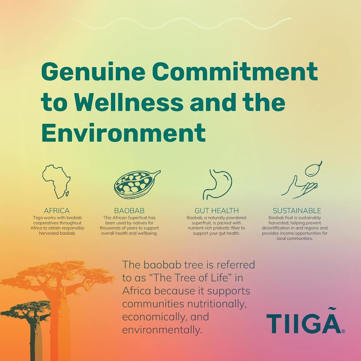 Tiiga Plant-Based Energy Drink with Baobab Superfruit & Prebiotics - Natural Stamina Boost, Vegan & Gluten-Free, Low Sugar Formula for Focus & Gut Health