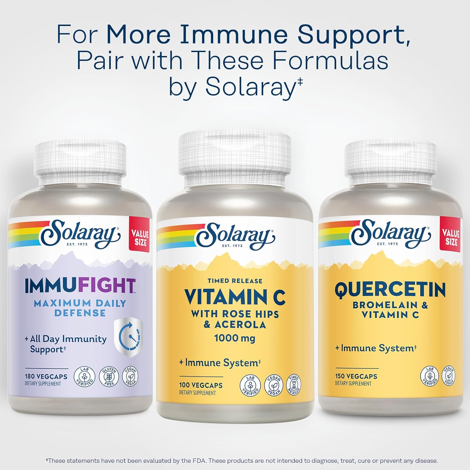 Time Release Vitamin C Capsules with Rose Hips and Acerola for Immune Support - 1000mg, Vegan, 100 Servings