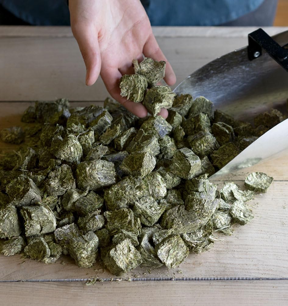 Timothy Cubes Horse Supplement for Laminitis Support - Low Sugar Feed with Beet Pulp, 50 lbs