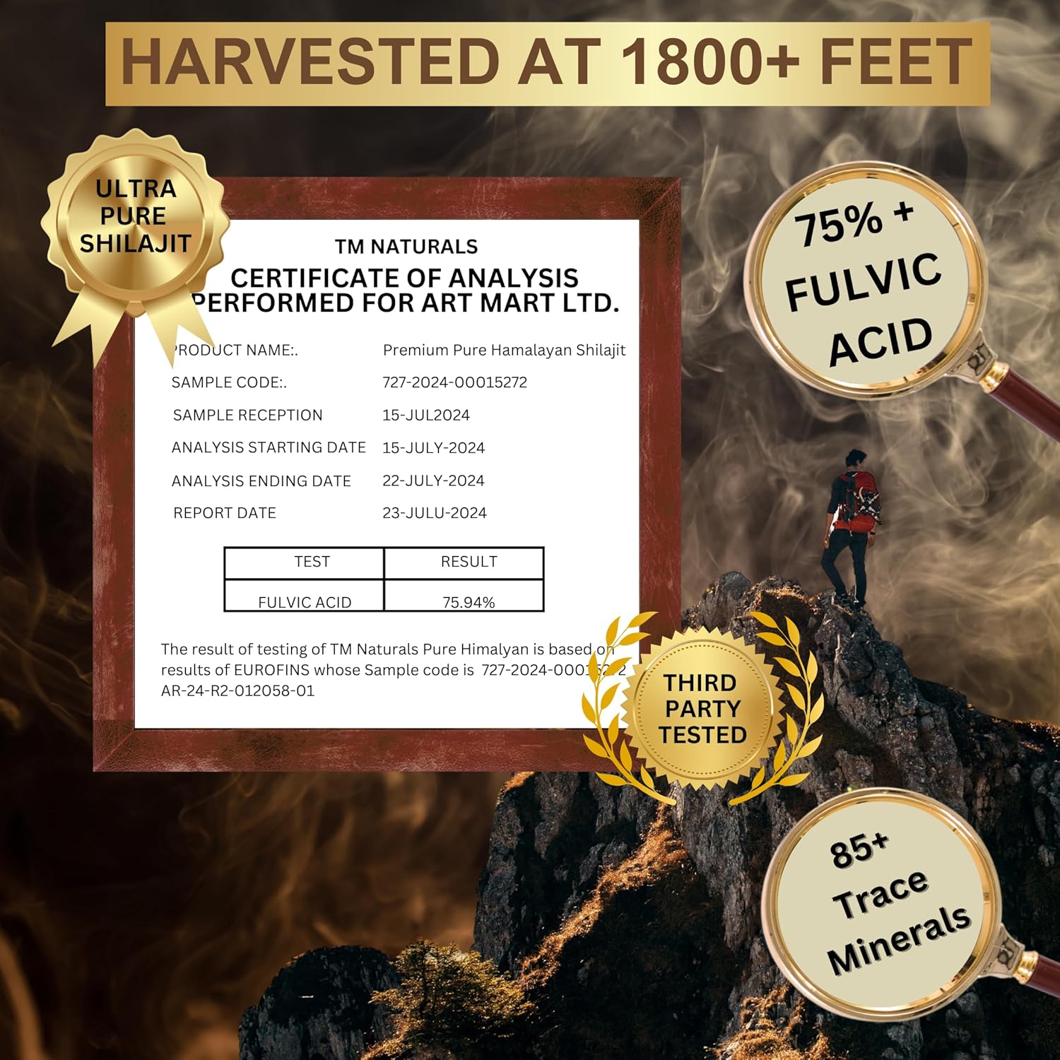 TM NATURALS Pure Himalayan Shilajit Resin - High Fulvic Acid & Trace Minerals - Boosts Energy & Endurance - 30g with Steel Spoon - Lab Tested