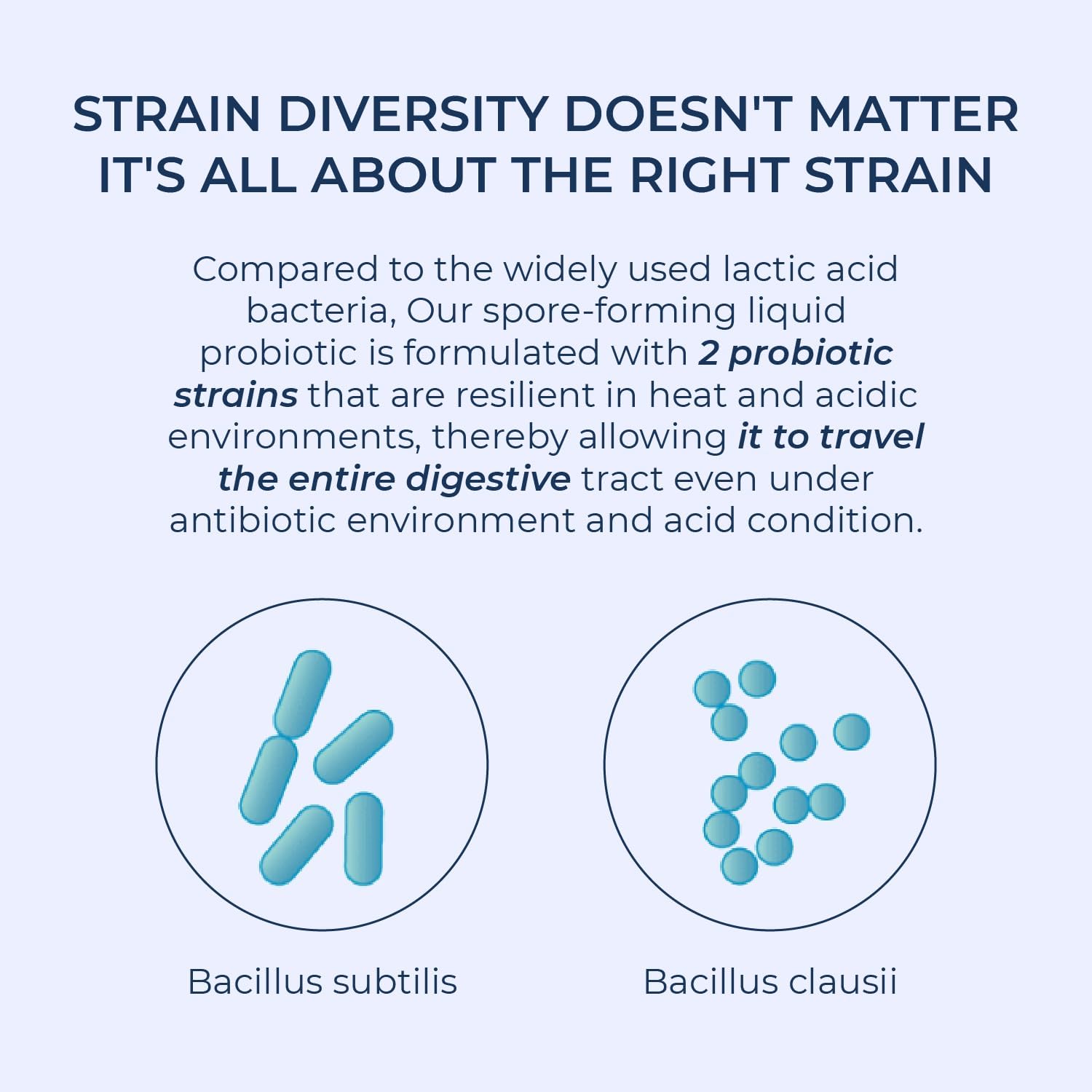 TMA Medispores Rectum Probiotic Liquid: Gut Health Support for Stomach Relief, Bloating, Immune System, Digestive Health - 20 Vials (3 Billion CFUs/Vial) for Adults and Kids