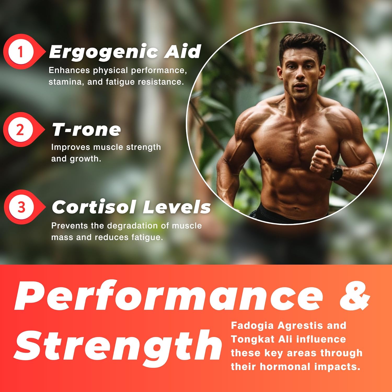 TODICAMP Longjack Tongkat Ali and Fadogia Agrestis 1000mg Complex - 60 Day Supply