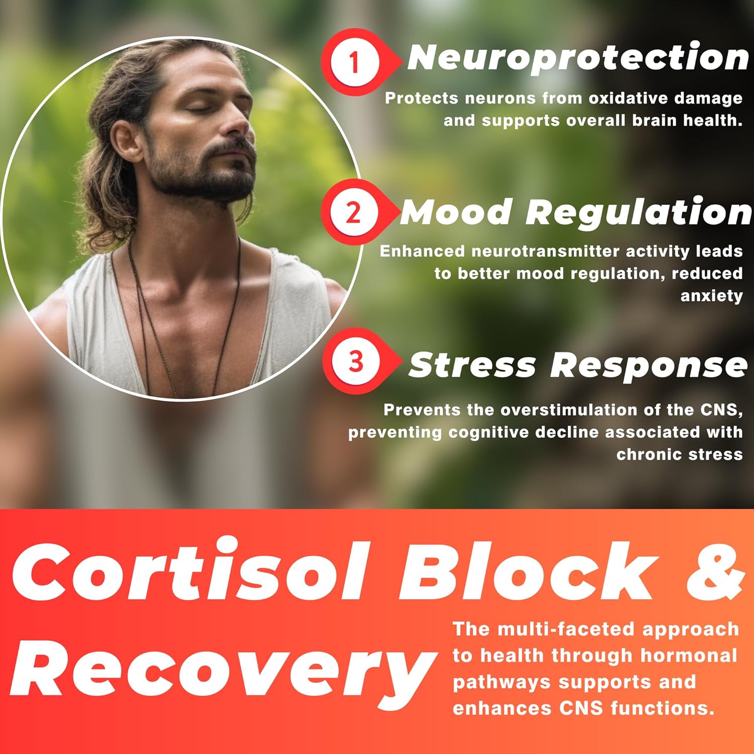 TODICAMP Longjack Tongkat Ali and Fadogia Agrestis 1000mg Complex - 60 Day Supply