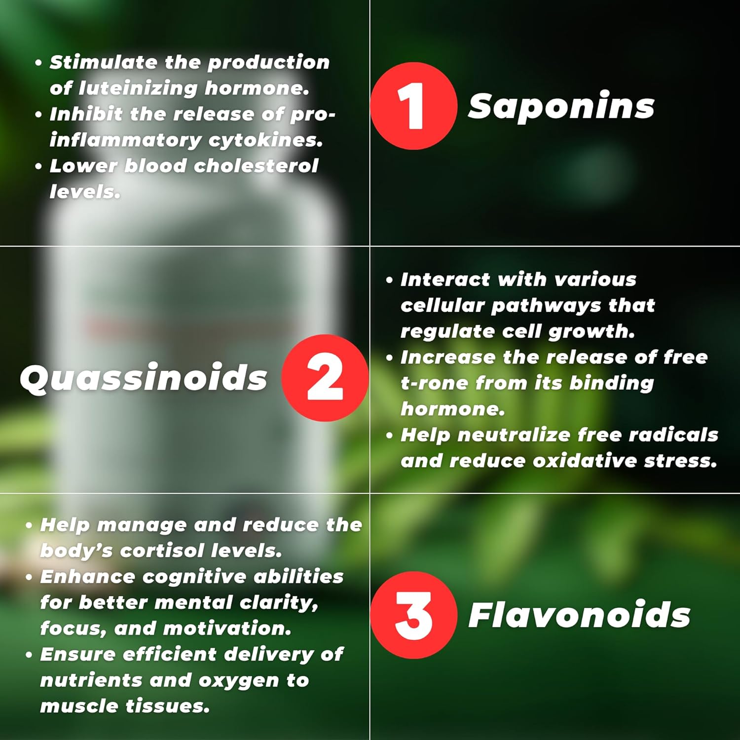 TODICAMP Longjack Tongkat Ali and Fadogia Agrestis 1000mg Complex - 60 Day Supply