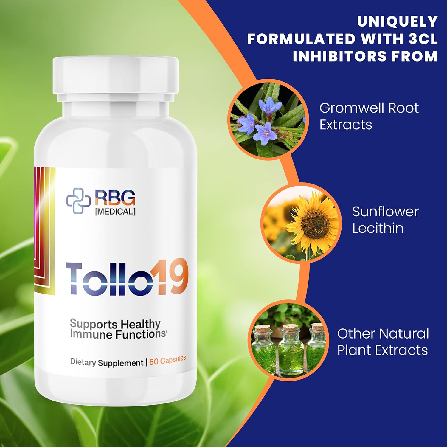 Tollo19 Immune Defense Supplement with 3CLpro Inhibitors - Natural Blend of Gromwell Root Extracts and Sunflower Lecithin - 60 Capsules