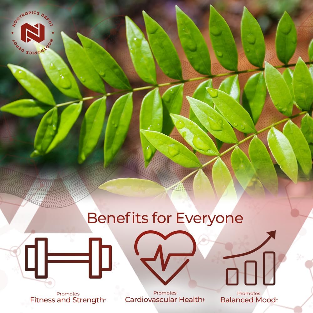 Tongkat Ali Extract Capsules 100mg - 60 Count - 10% Eurycomanone - Eurycoma longifolia Root Extract - Nootropics