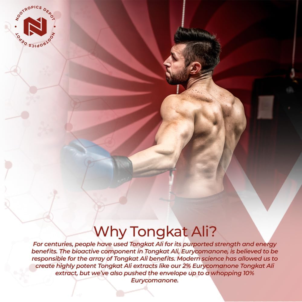 Tongkat Ali Extract Capsules 100mg - 60 Count - 10% Eurycomanone - Eurycoma longifolia Root Extract - Nootropics