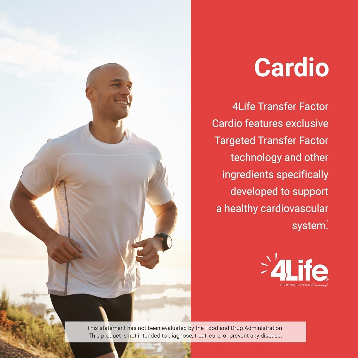 Transfer Factor Cardio Support Dietary Supplement with Ginkgo, Garlic, Red Yeast Rice, and Resveratrol - 90 Capsules